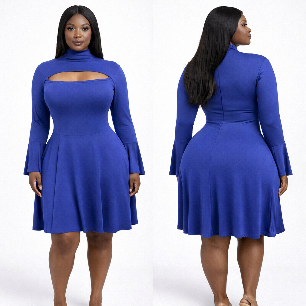 Royal Blue Women Fit and Flare Mini Dress