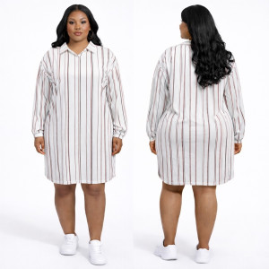 Premium White Striped long Sleeve Shirt Dress