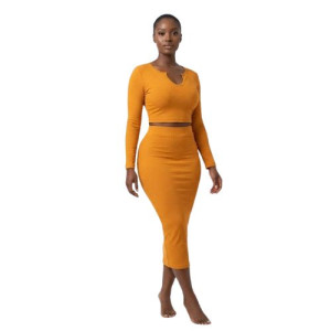 Long Sleeve Notch Neck Crop Top and Midi Skirt Set