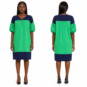 Womens Color Block Straight Dress with Puff Sleeves