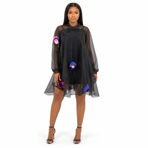 Women Sheer Overlay Mini Dress with Floral Applique