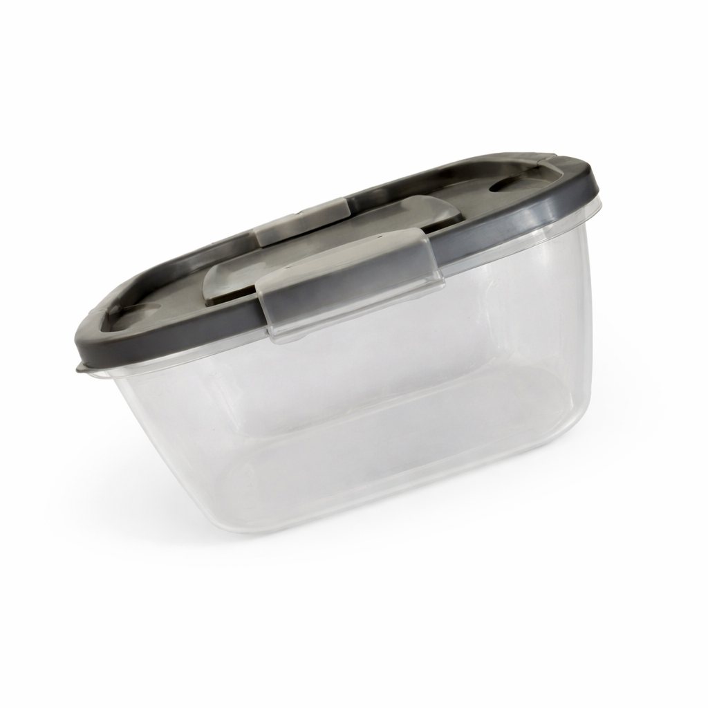Small Transparent Plastic Storage Container with Lid