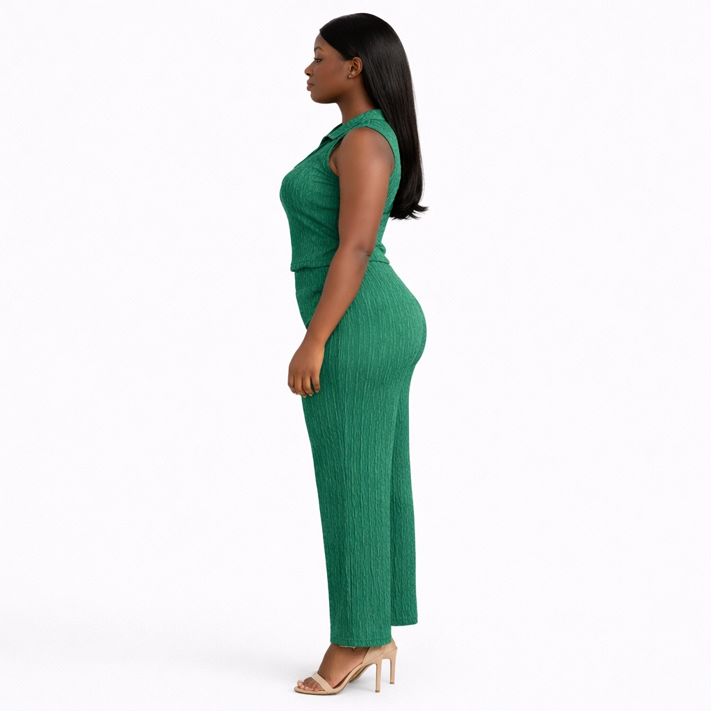 Green  Textured Two Piece Pant Set  with Sleeveless Collared Top