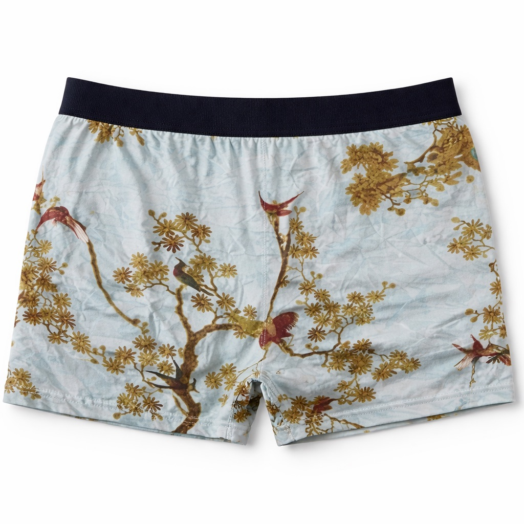 Bird and Nature Print Boxer Shorts with Elastic Waistband   Sky Blue