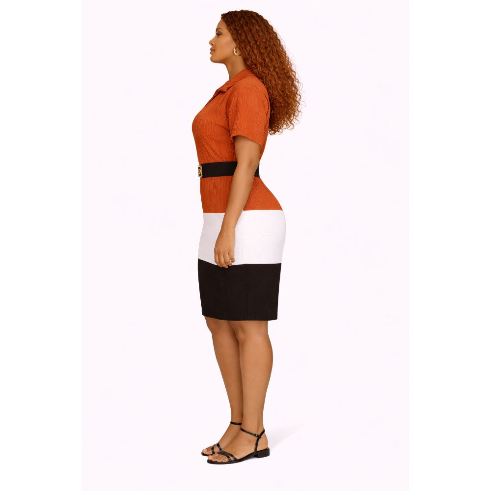 Rust Pleated Color Block Bodycon Dress