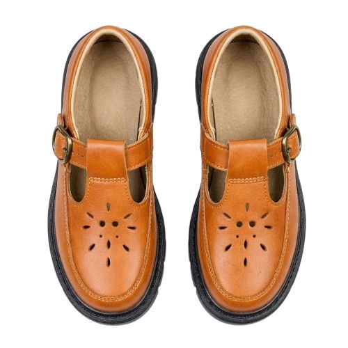Mens Brown Casual SlipOn Shoes