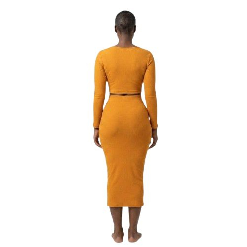 Long Sleeve Notch Neck Crop Top and Midi Skirt Set