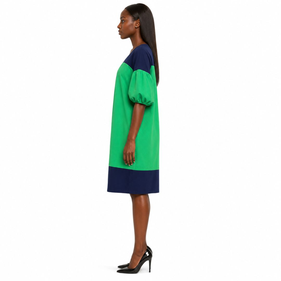Womens Color Block Straight Dress with Puff Sleeves