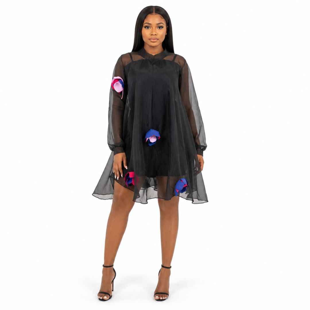 Women Sheer Overlay Mini Dress with Floral Applique